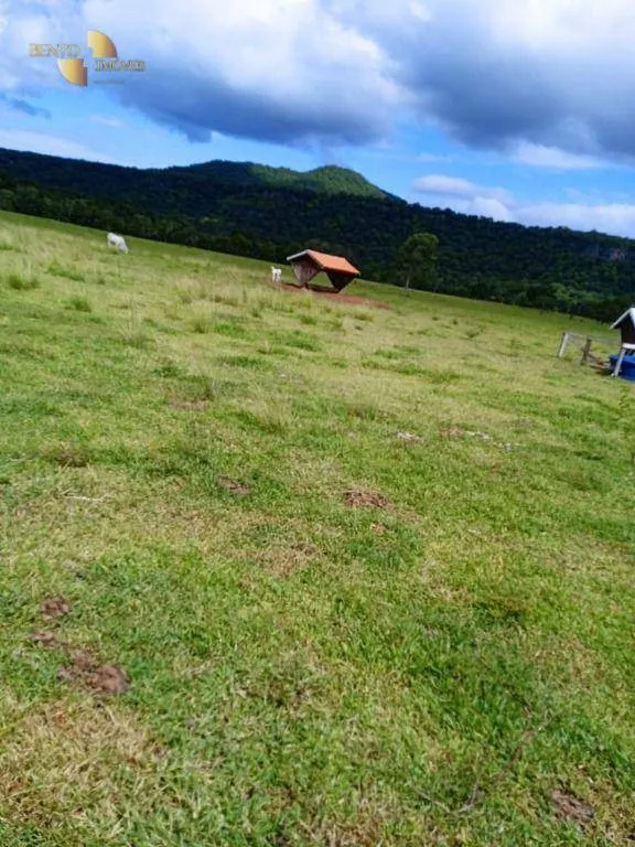 Fazenda à venda de 1.800 ha em Cáceres, MT, Brasil