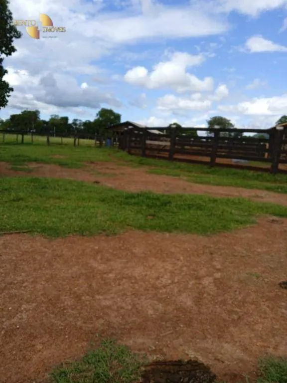 Fazenda à venda de 1.800 ha em Cáceres, MT, Brasil