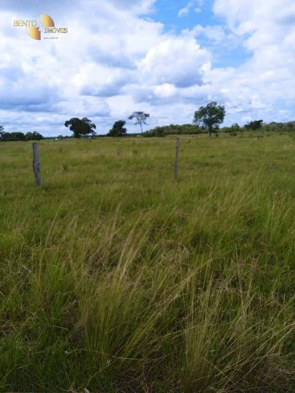 Fazenda à venda de 1.800 ha em Cáceres, MT, Brasil