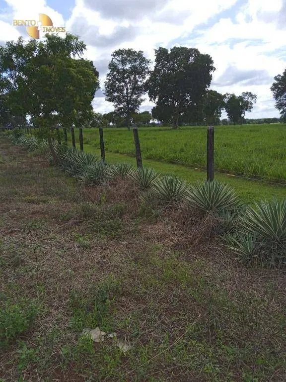 Fazenda à venda de 1.800 ha em Cáceres, MT, Brasil