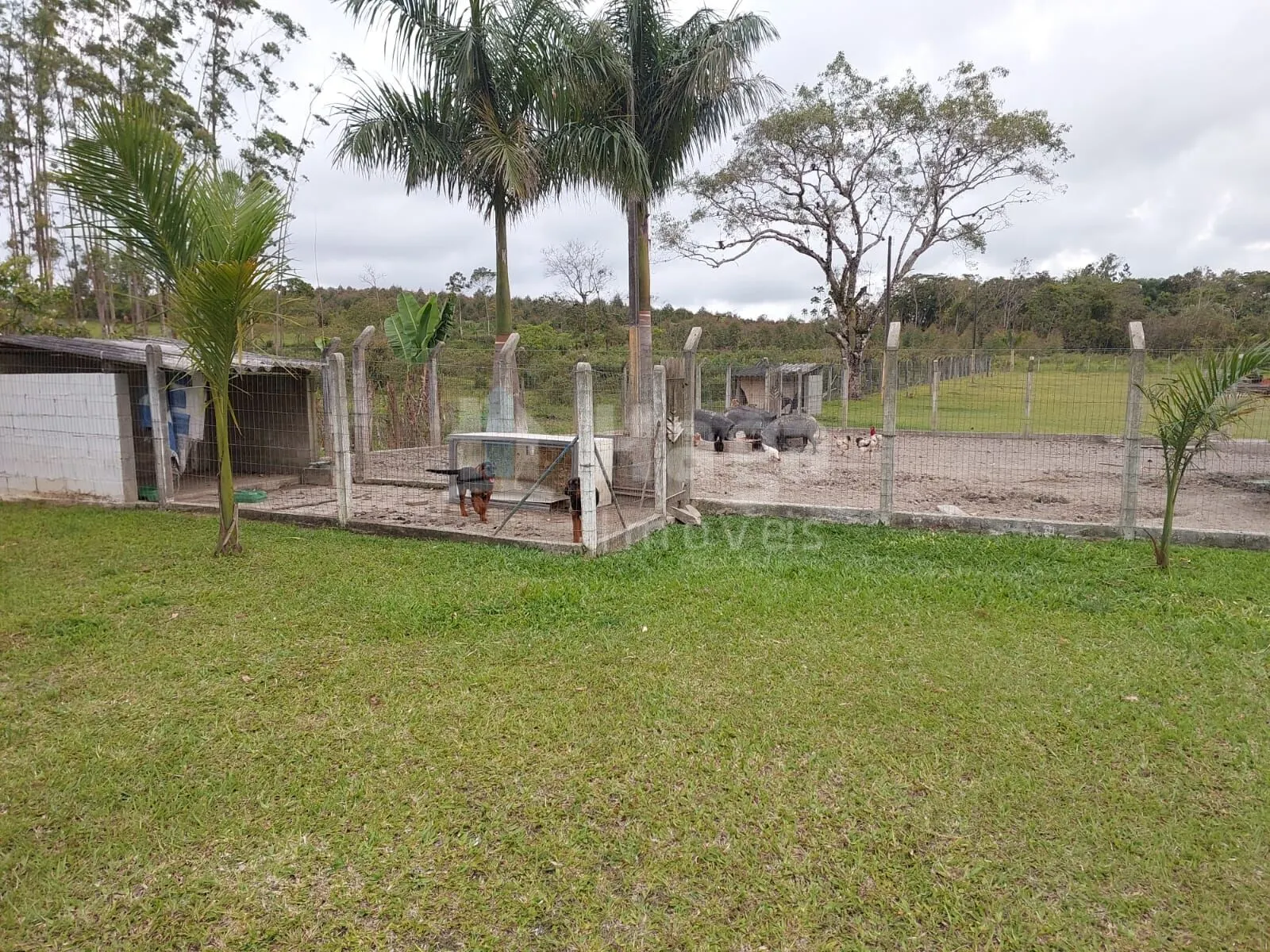 Fazenda à venda de 1 ha em Balneário Piçarras, SC, Brasil