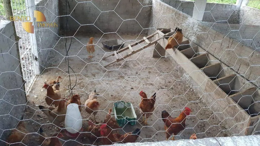 Sítio à venda de 35 ha em Nossa Senhora do Livramento, MT, Brasil