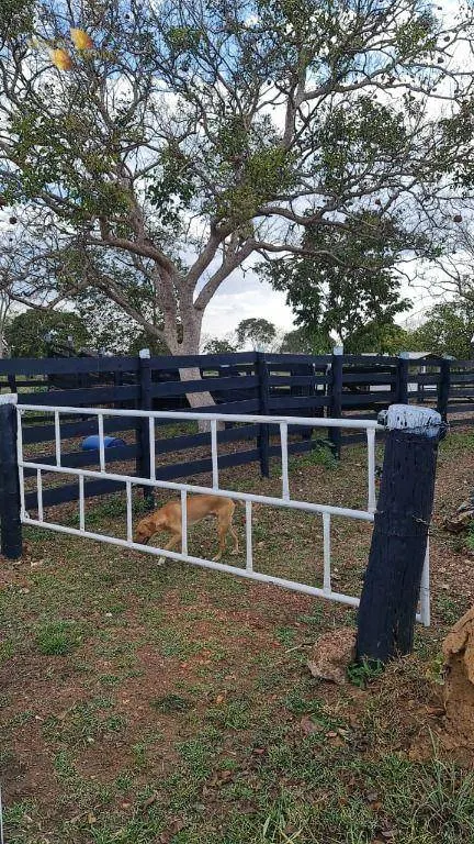 Sítio à venda de 35 ha em Nossa Senhora do Livramento, MT, Brasil
