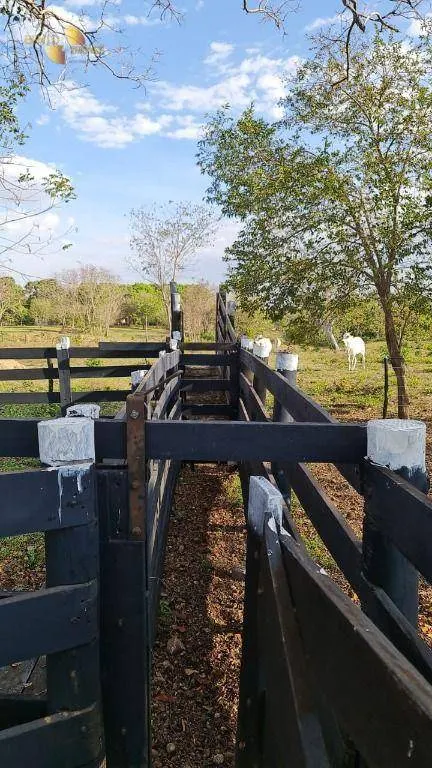 Sítio à venda de 35 ha em Nossa Senhora do Livramento, MT, Brasil