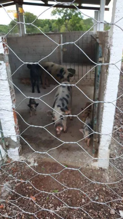 Sítio à venda de 35 ha em Nossa Senhora do Livramento, MT, Brasil
