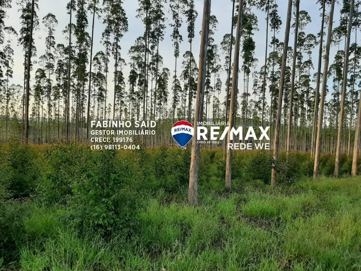Fazenda à venda de 118 ha em Altinópolis, SP, Brasil