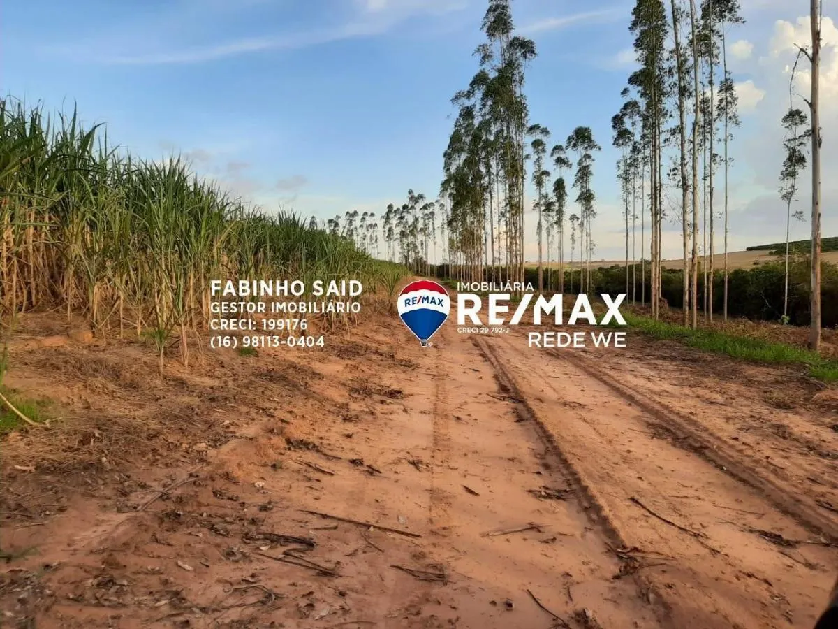 Fazenda à venda de 118 ha em Altinópolis, SP, Brasil
