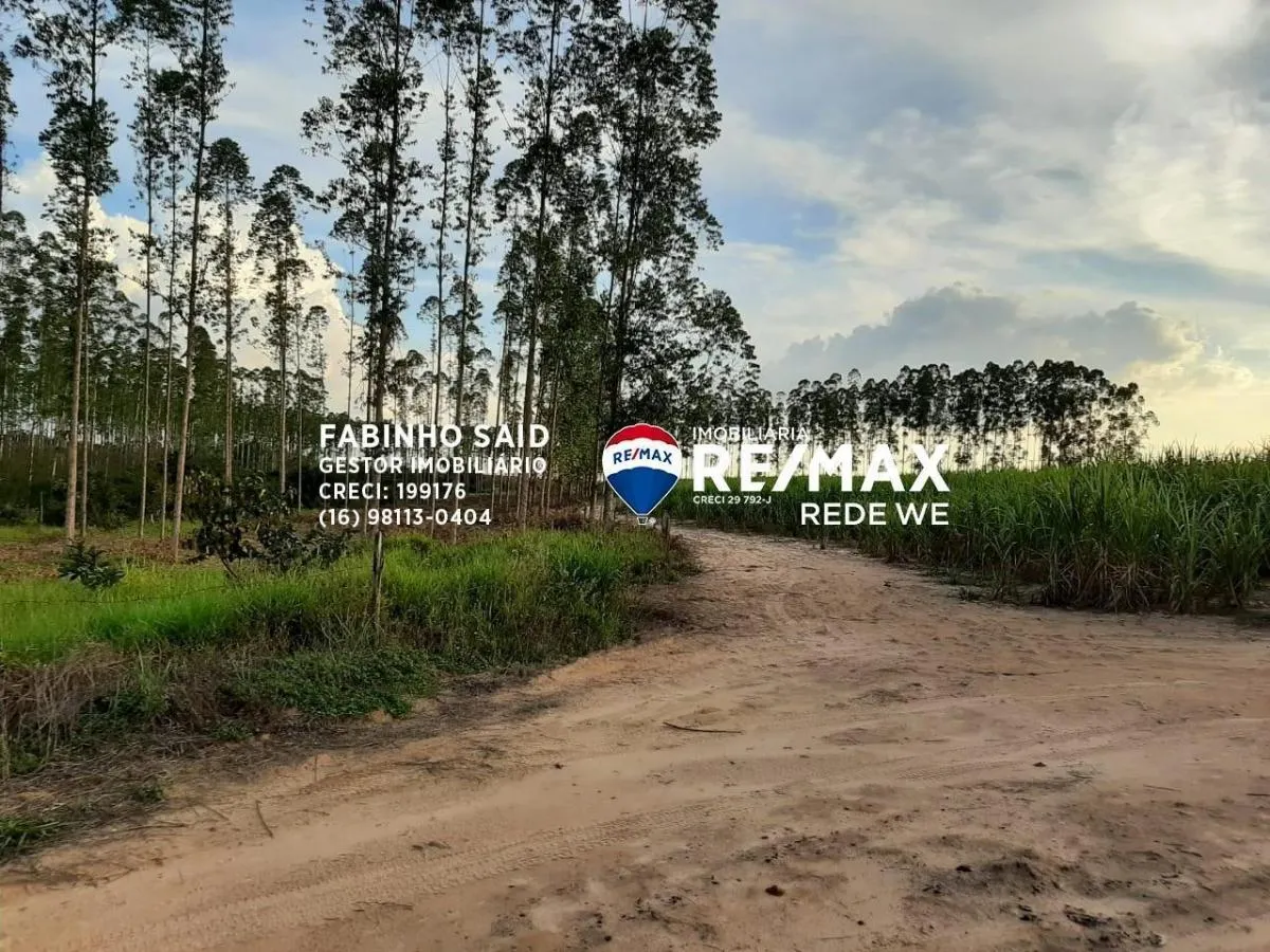 Fazenda à venda de 118 ha em Altinópolis, SP, Brasil