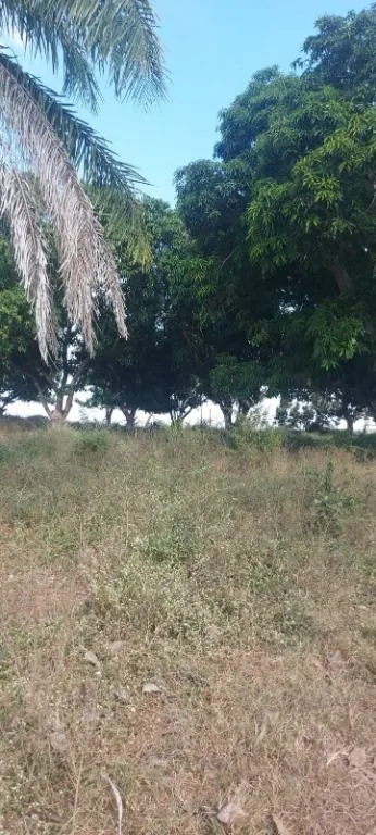 Fazenda à venda de 840 ha em Rosário Oeste, MT, Brasil