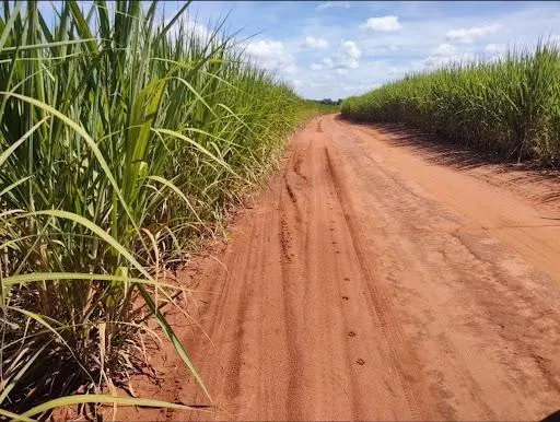 Fazenda à venda de 116 ha em Barretos, SP, Brasil