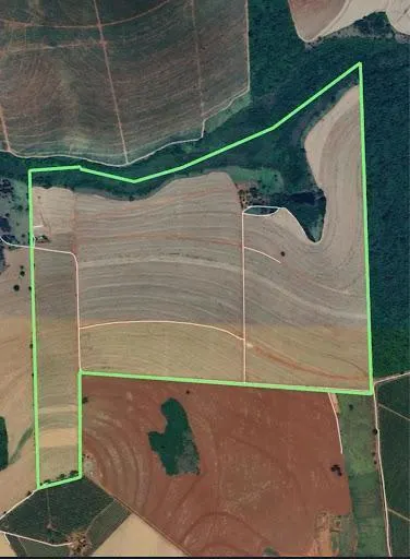 Fazenda à venda de 116 ha em Barretos, SP, Brasil