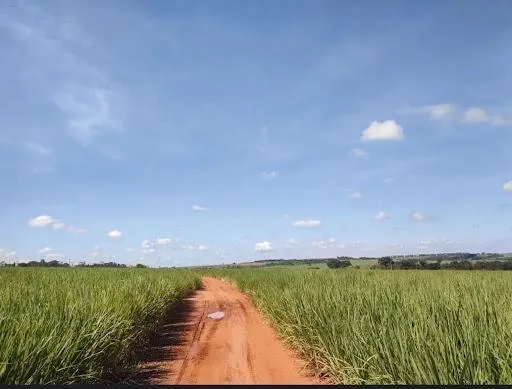 Fazenda à venda de 116 ha em Barretos, SP, Brasil