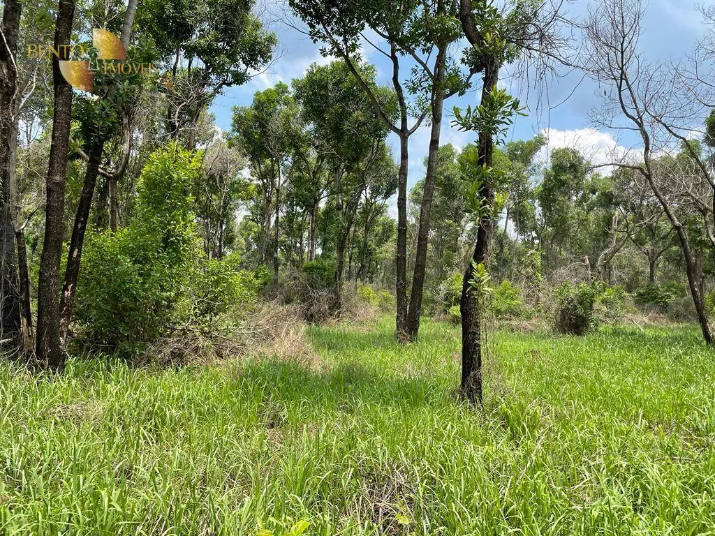 Fazenda à venda de 4.100 ha em Cuiabá, MT, Brasil