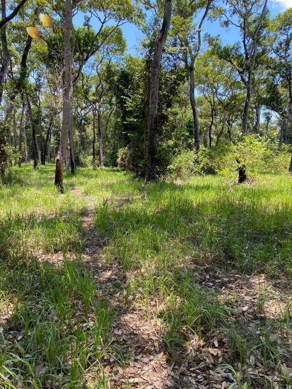 Fazenda à venda de 4.100 ha em Cuiabá, MT, Brasil