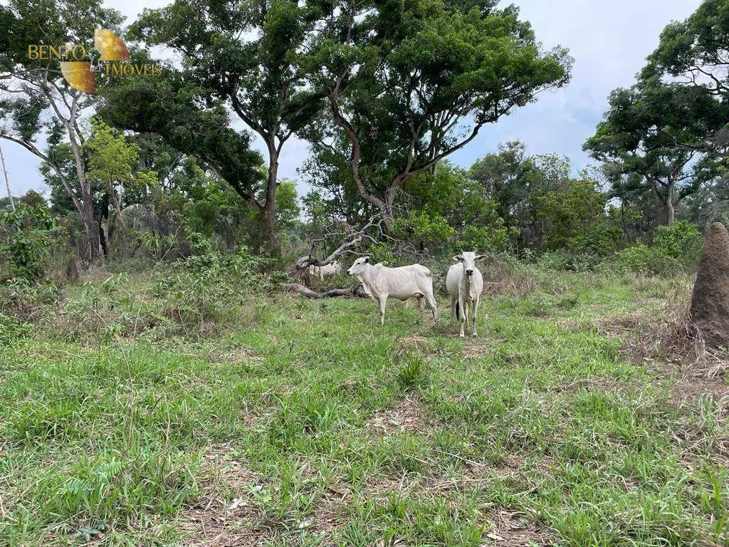 Fazenda à venda de 4.100 ha em Cuiabá, MT, Brasil