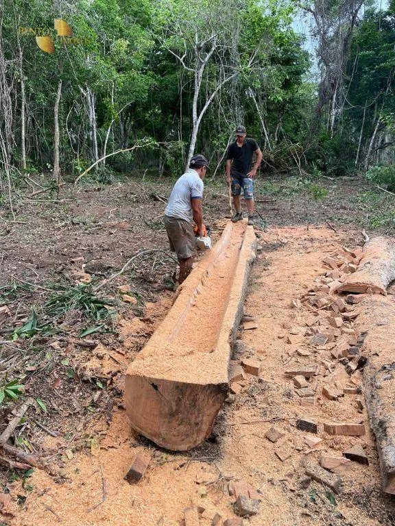 Fazenda à venda de 4.100 ha em Cuiabá, MT, Brasil