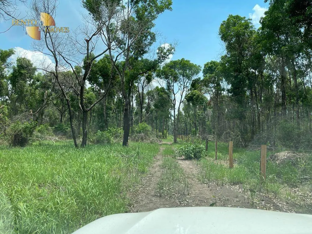 Fazenda à venda de 4.100 ha em Cuiabá, MT, Brasil