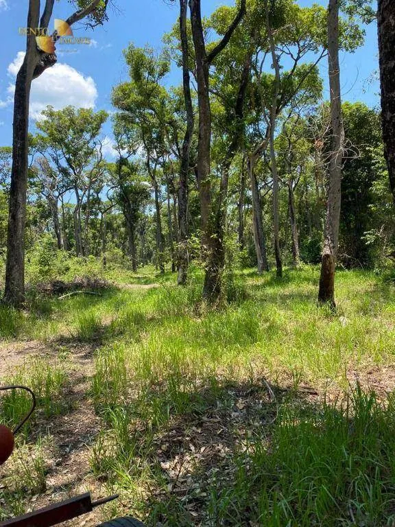 Fazenda à venda de 4.100 ha em Cuiabá, MT, Brasil