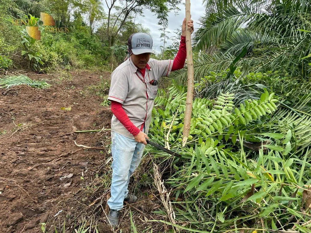Fazenda à venda de 4.100 ha em Cuiabá, MT, Brasil