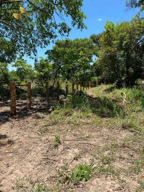 Fazenda à venda de 4.100 ha em Cuiabá, MT, Brasil