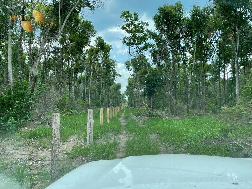 Fazenda à venda de 4.100 ha em Cuiabá, MT, Brasil