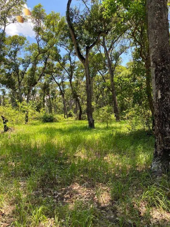Fazenda à venda de 4.100 ha em Cuiabá, MT, Brasil