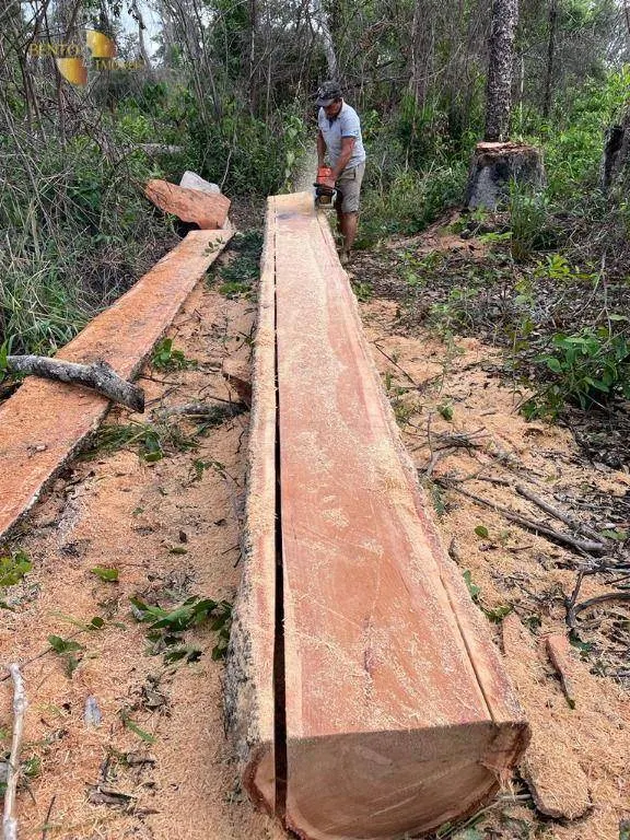 Fazenda à venda de 4.100 ha em Cuiabá, MT, Brasil