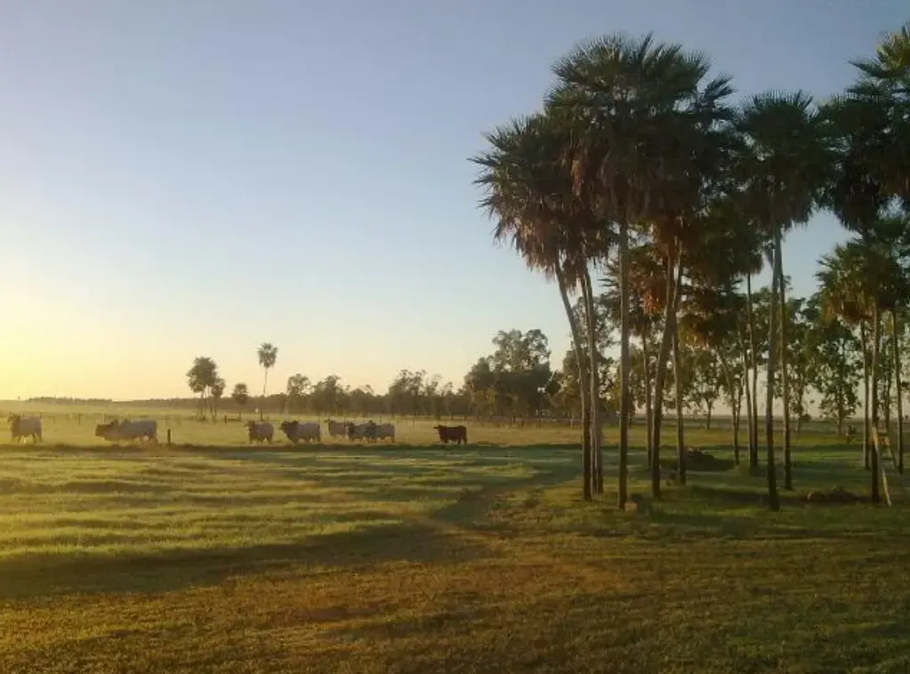 Comercial à venda de 29.093 ha em San Pedro de Ycuamandiyú, Paraguai