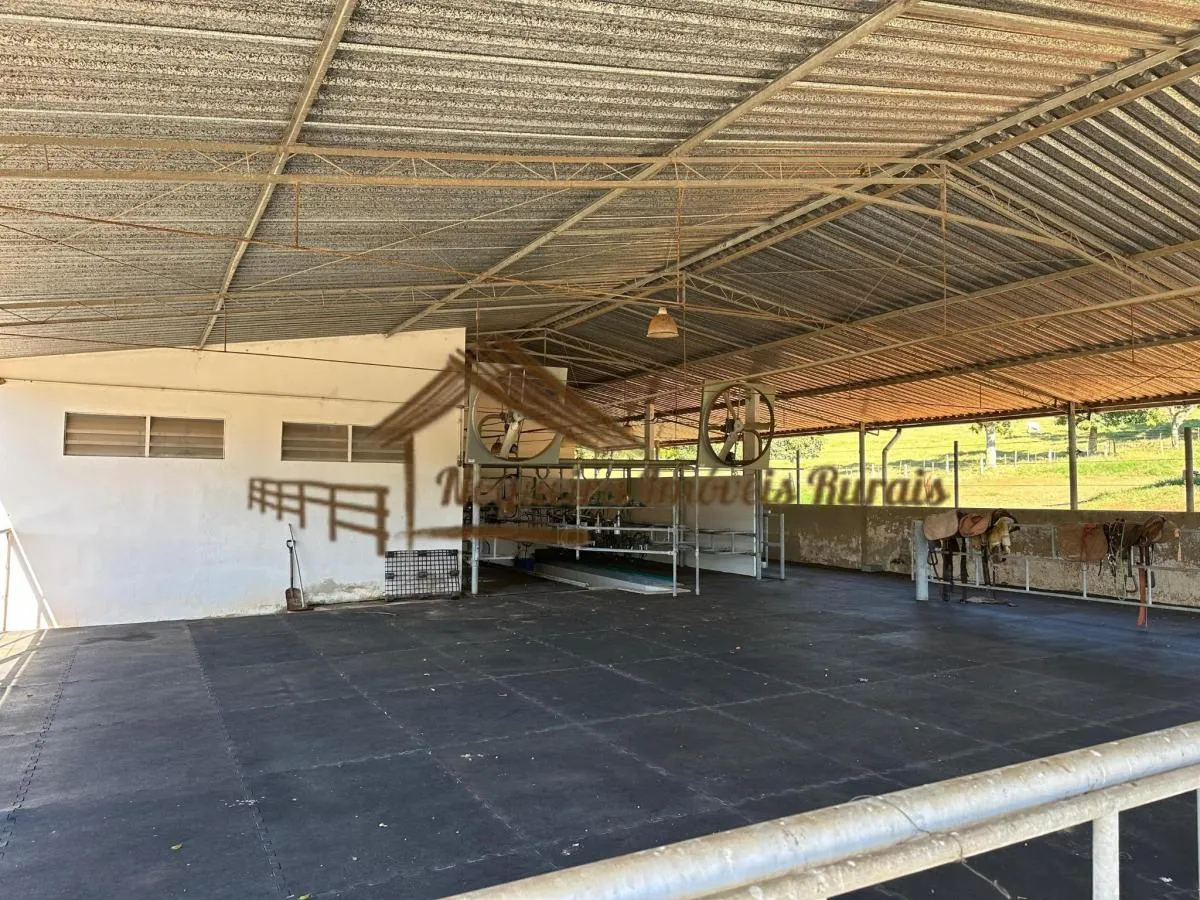 Fazenda à venda de 123 ha em Angatuba, SP, Brasil