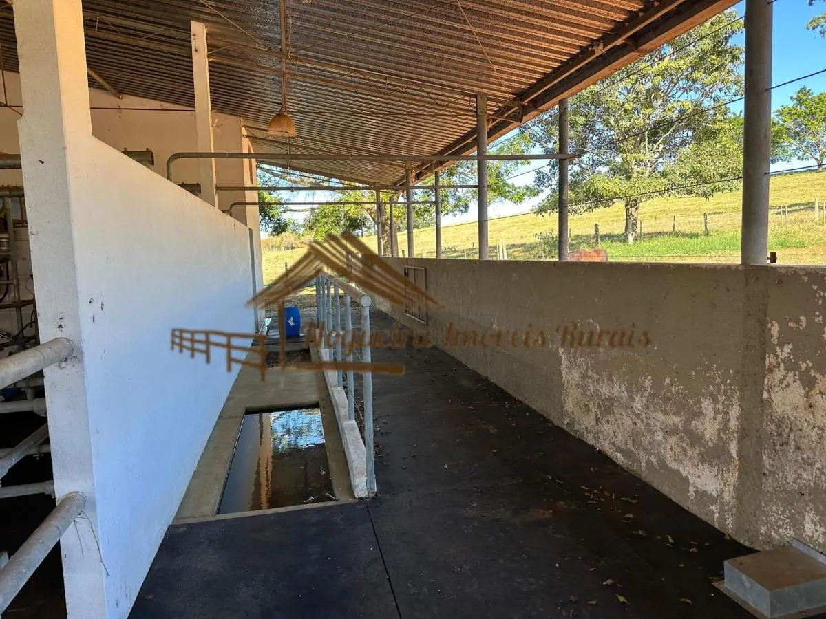 Fazenda à venda de 123 ha em Angatuba, SP, Brasil