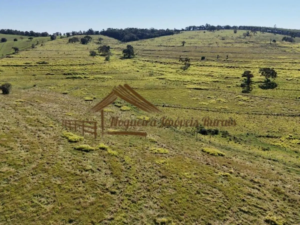 Fazenda à venda de 123 ha em Angatuba, SP, Brasil
