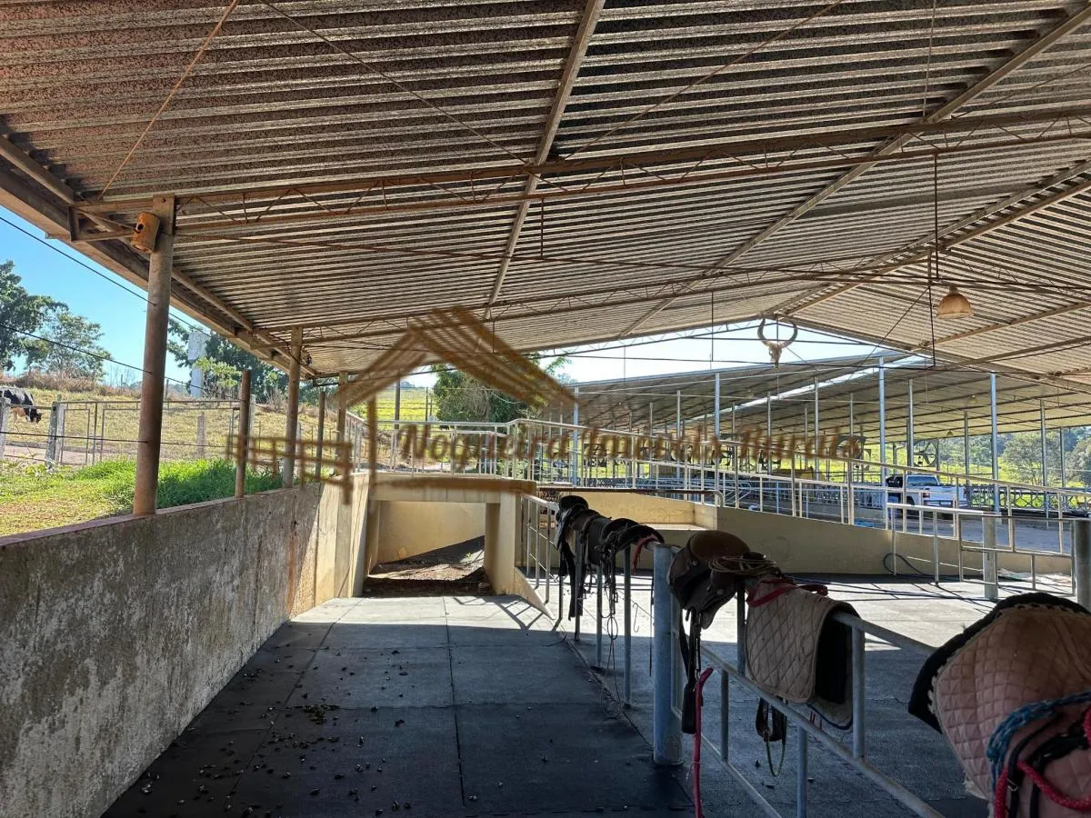 Fazenda à venda de 123 ha em Angatuba, SP, Brasil