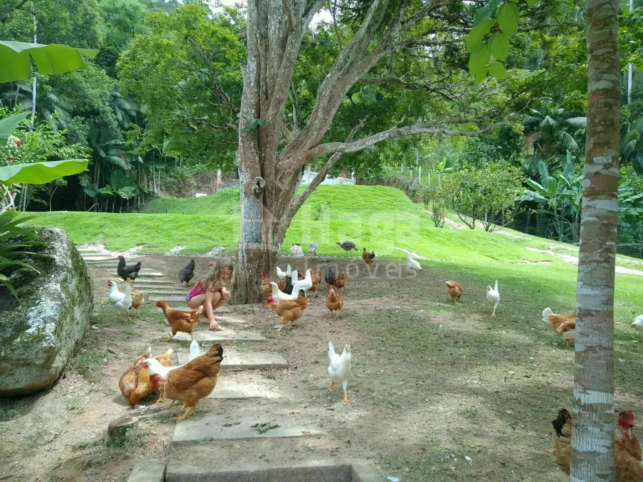 Country home for sale of 13 acres in Nova Trento, SC, Brazil