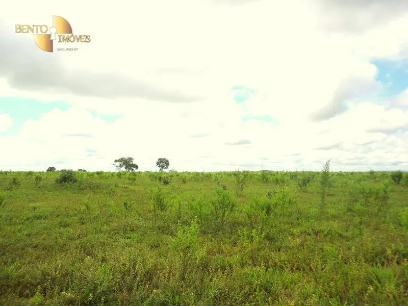 Fazenda à venda de 1.590 ha em Chapada dos Guimarães, MT, Brasil