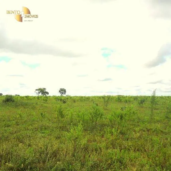 Fazenda à venda de 1.590 ha em Chapada dos Guimarães, MT, Brasil