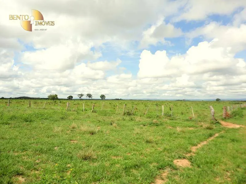 Fazenda à venda de 1.590 ha em Chapada dos Guimarães, MT, Brasil
