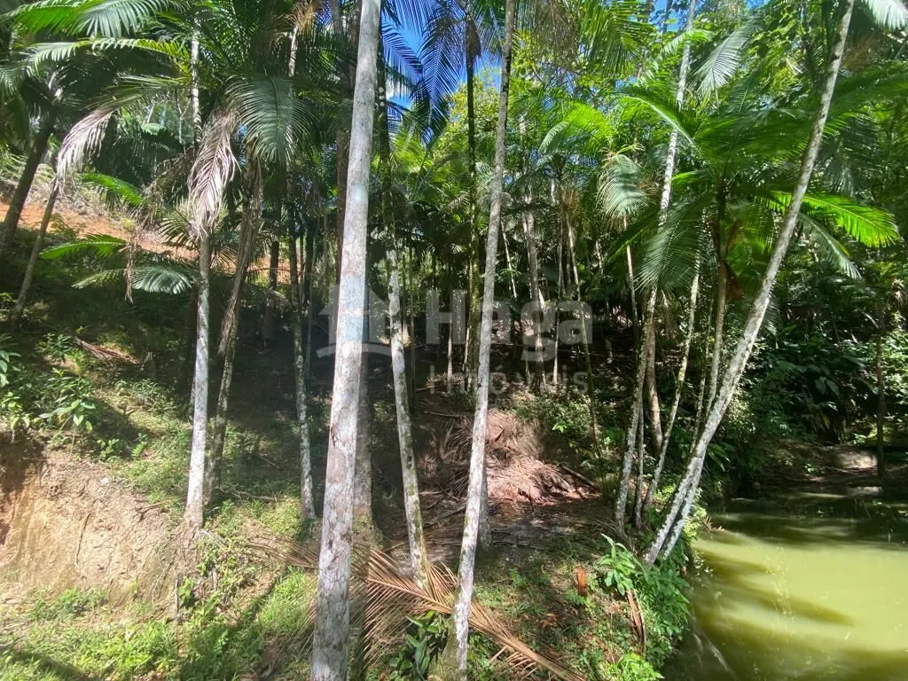 Farm for sale of 13 acres in Nova Trento, SC, Brazil