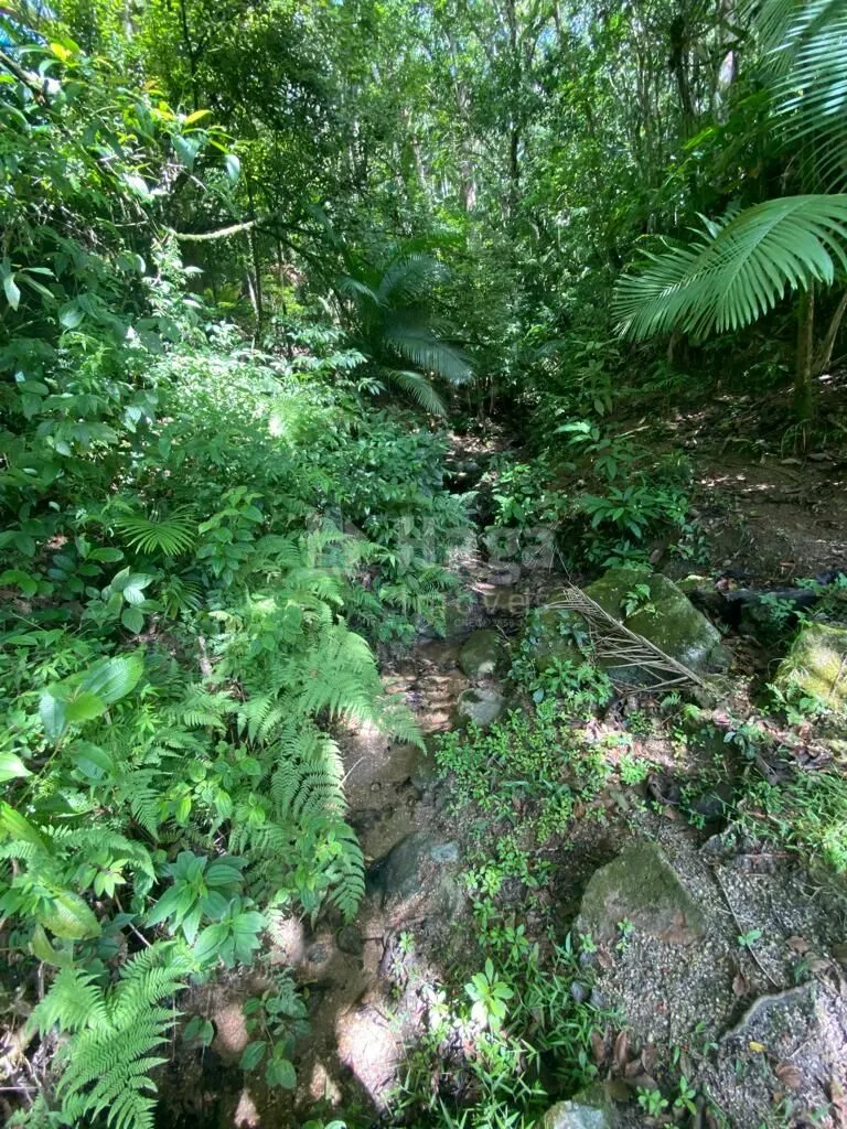 Farm for sale of 13 acres in Nova Trento, SC, Brazil