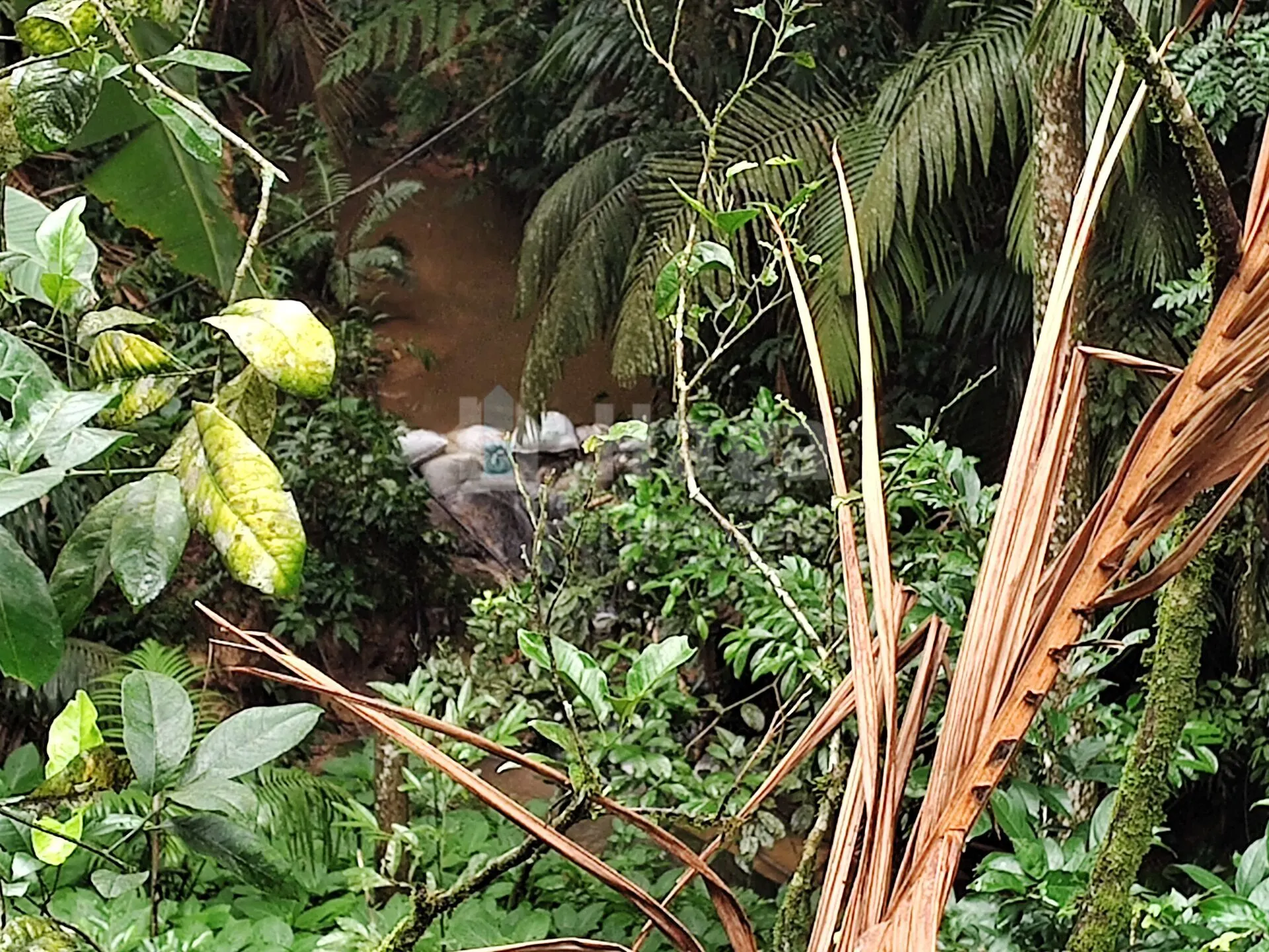 Chácara à venda de 2.000 m² em Gaspar, SC, Brasil