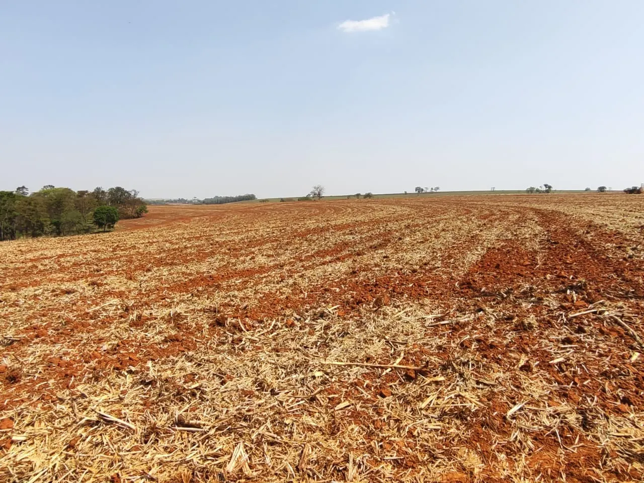 Fazenda à venda de 308 ha em Tatuí, SP, Brasil