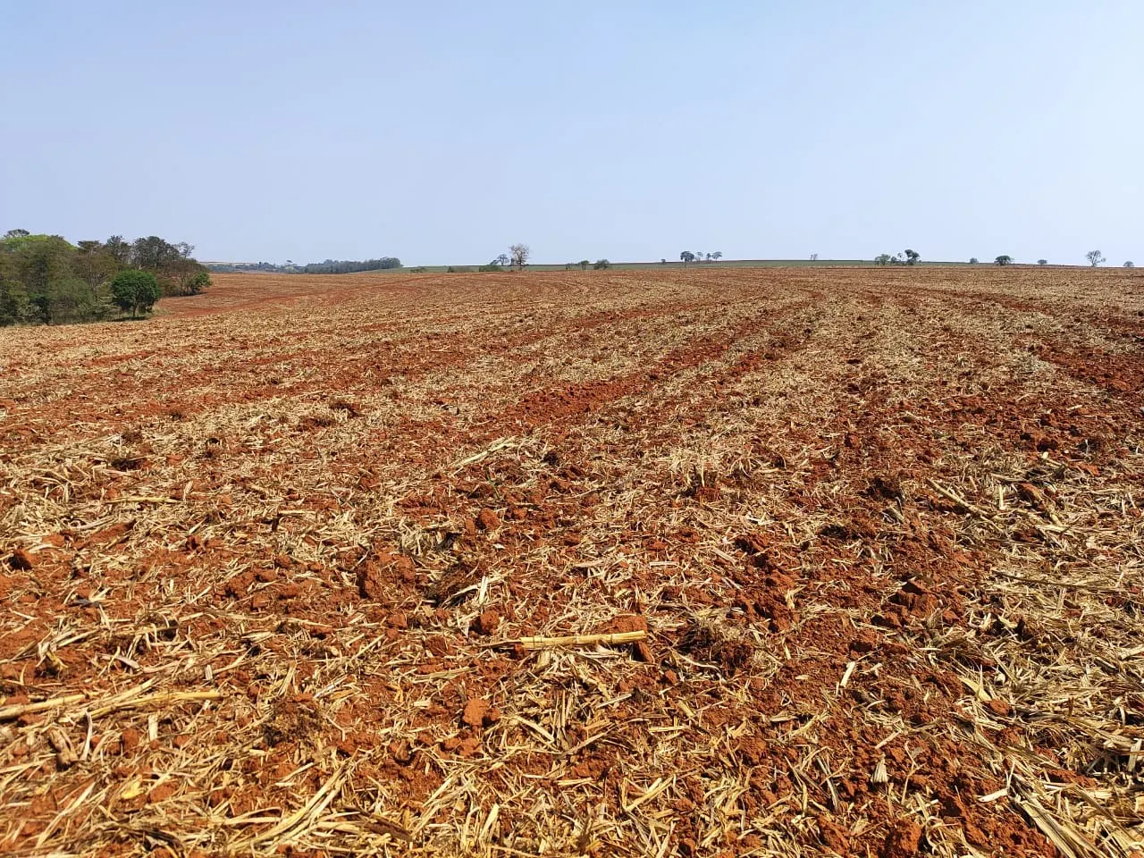 Fazenda à venda de 308 ha em Tatuí, SP, Brasil