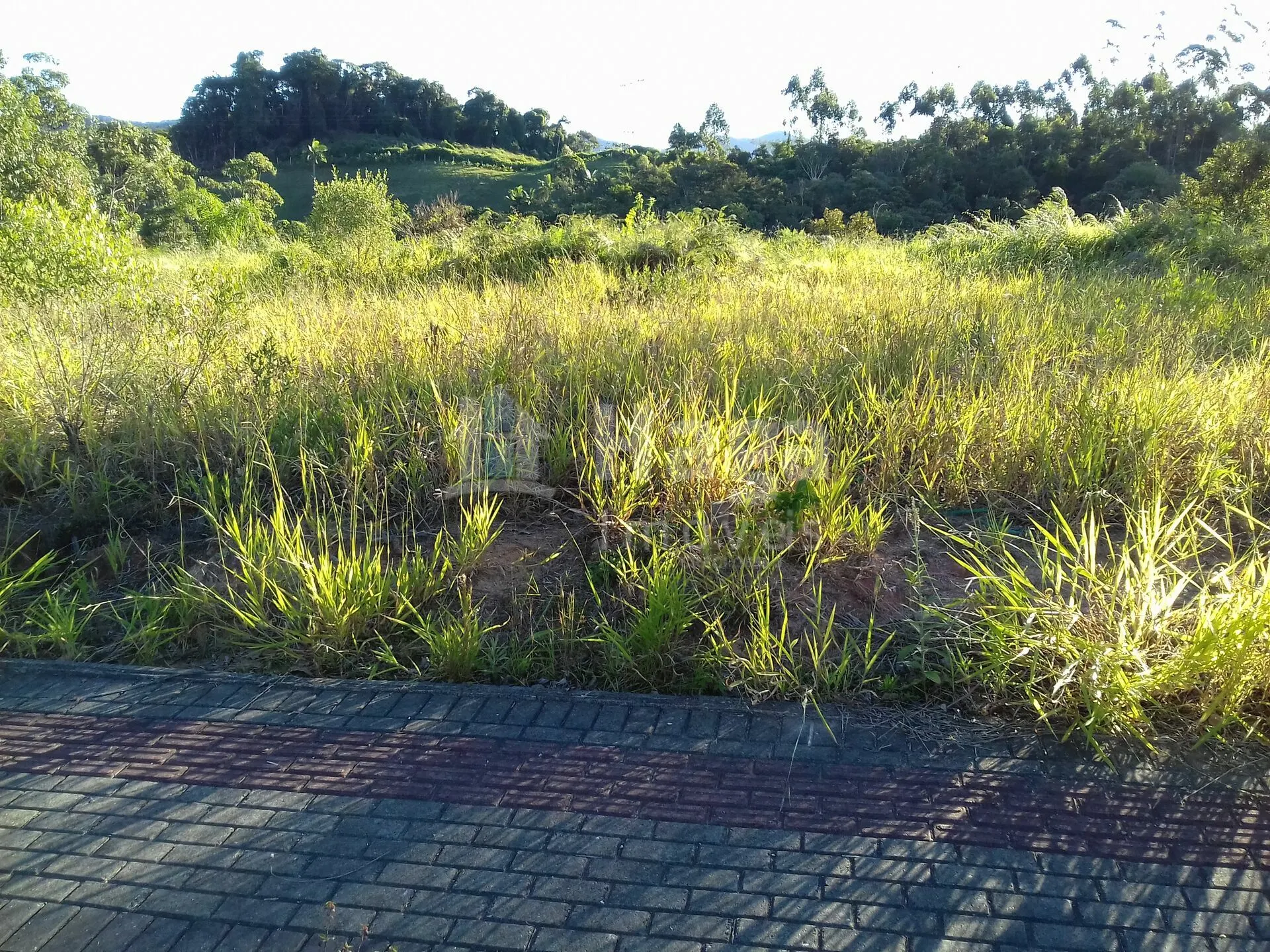 Plot for sale of 561 m² in Guabiruba, SC, Brazil