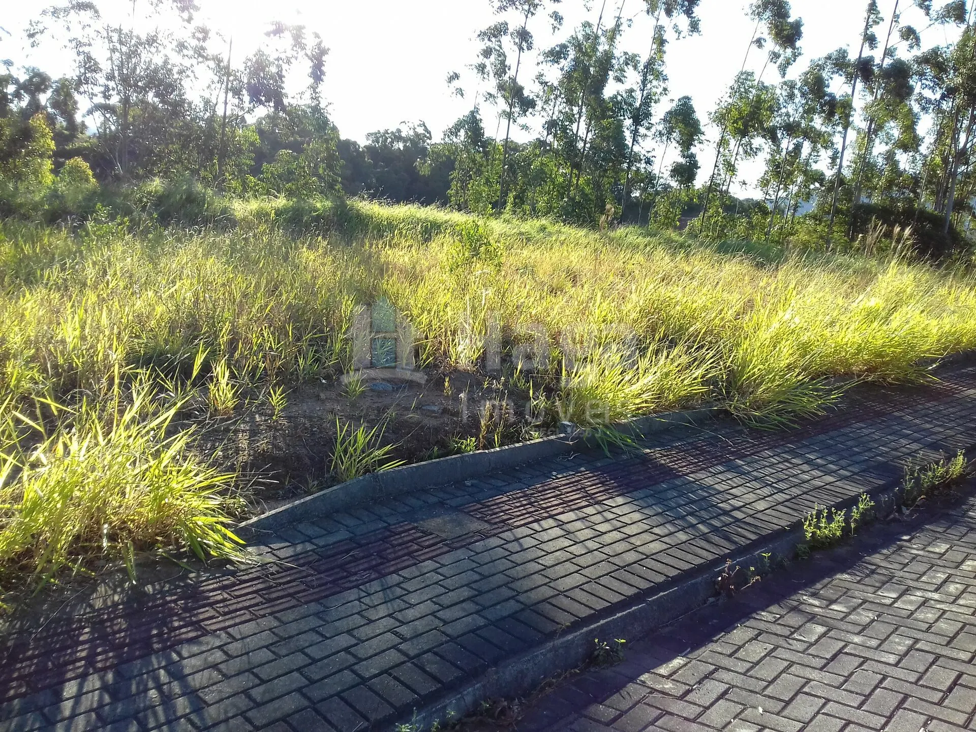 Plot for sale of 561 m² in Guabiruba, SC, Brazil