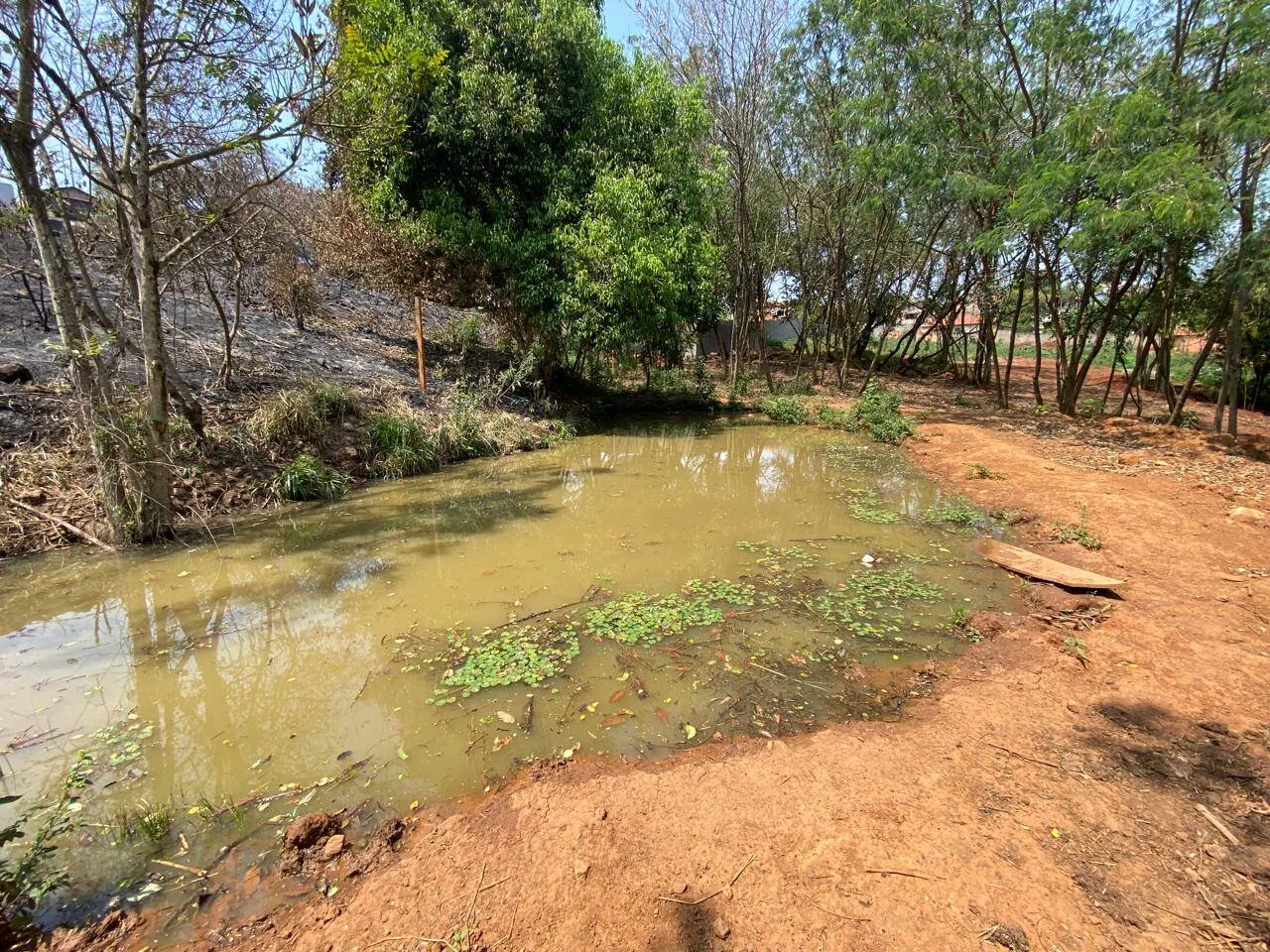 Plot for sale of 2 acres in Piraju, SP, Brazil