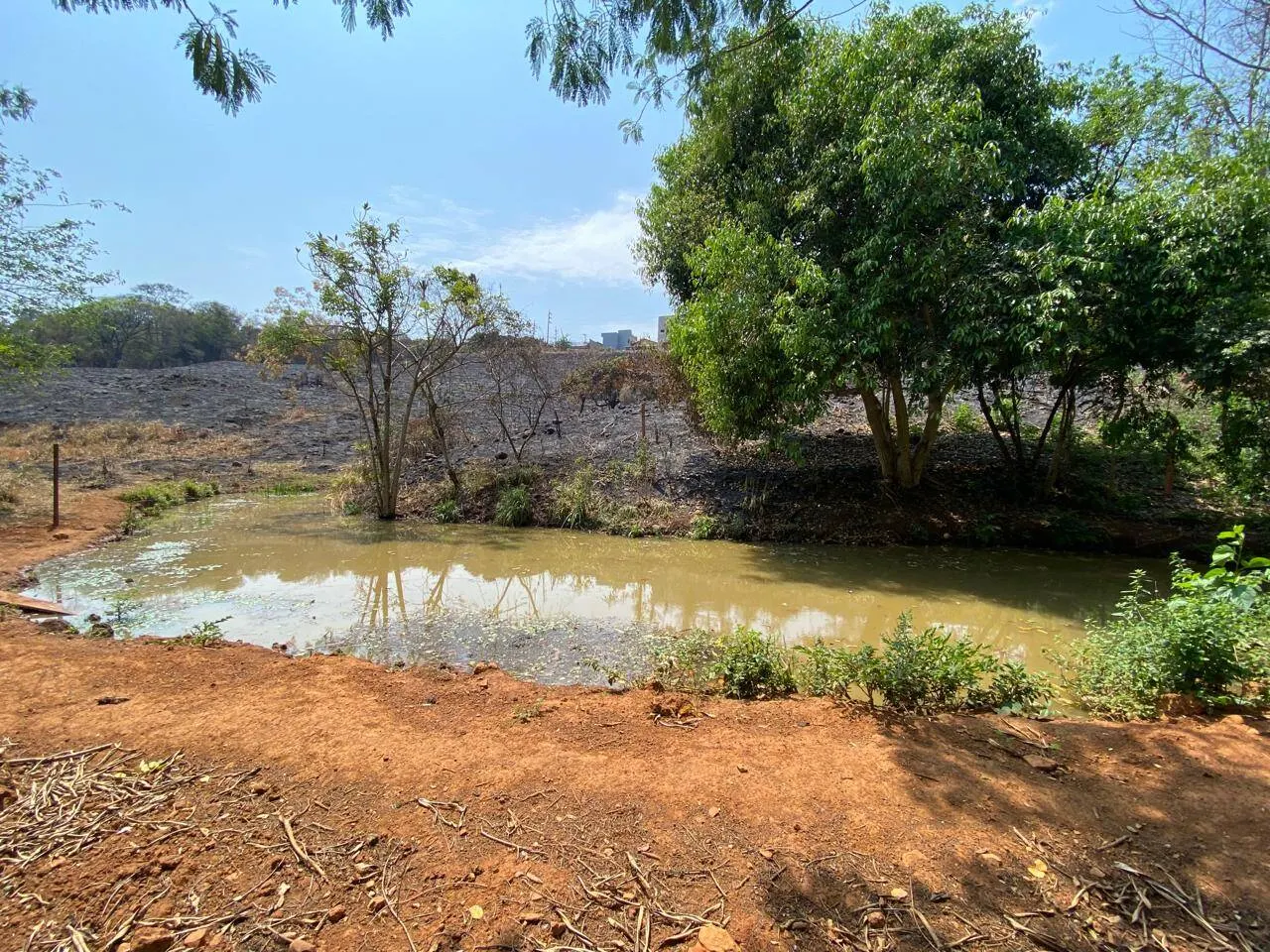 Plot for sale of 2 acres in Piraju, SP, Brazil