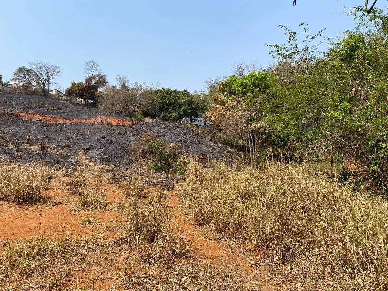 Plot for sale of 2 acres in Piraju, SP, Brazil