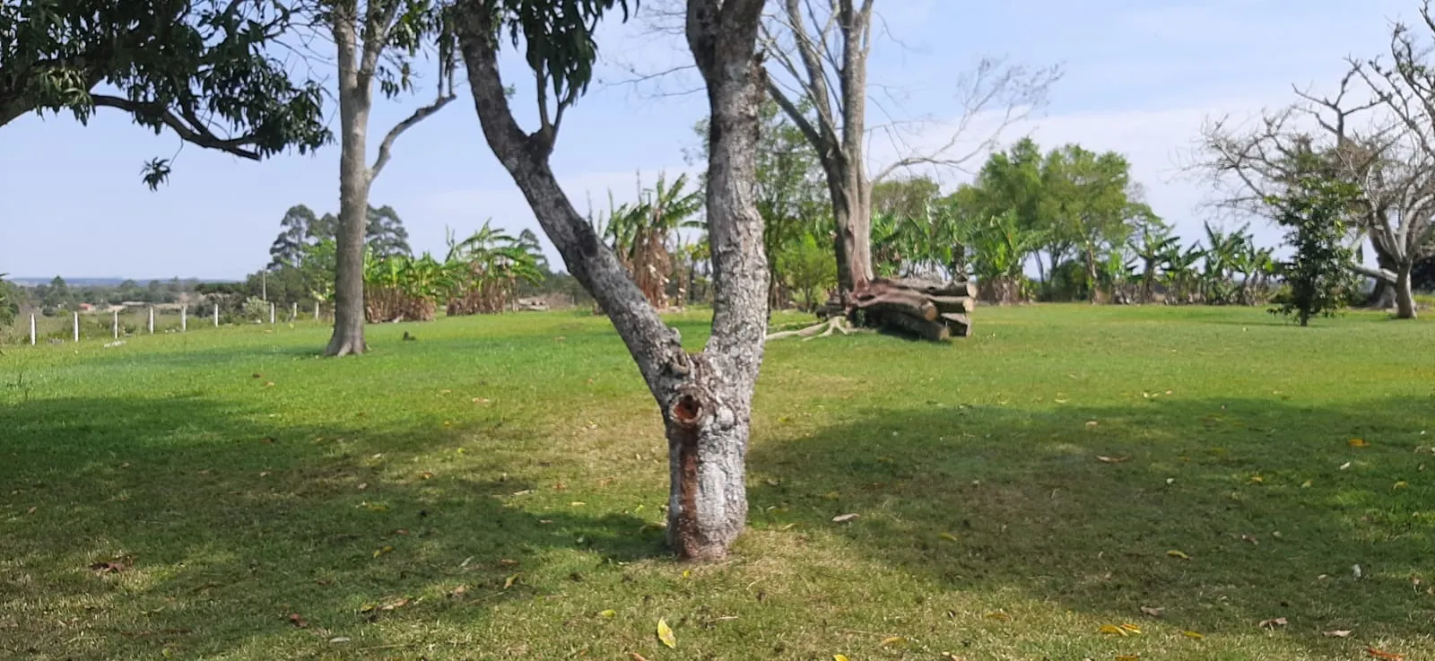 Sítio à venda de 7 ha em Sarapuí, SP, Brasil