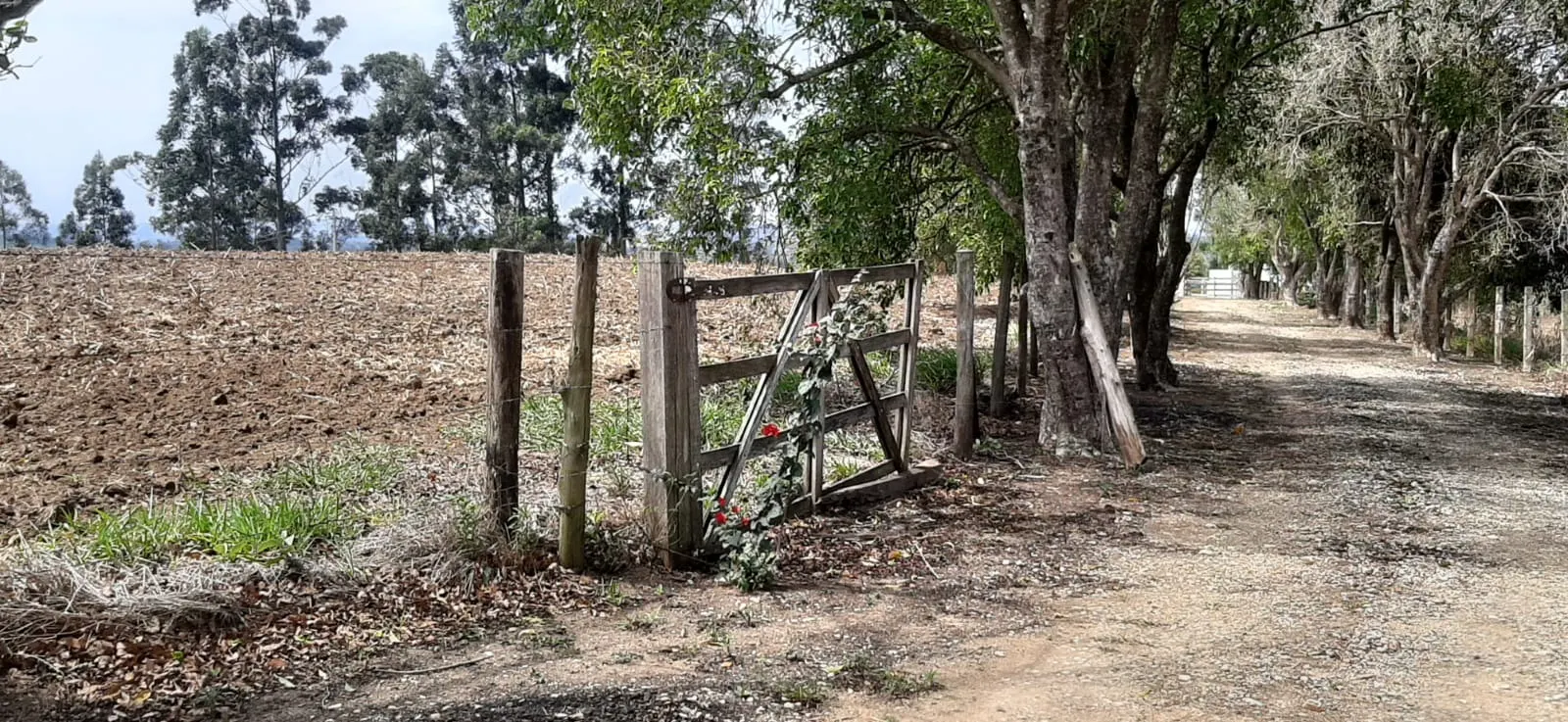 Sítio à venda de 7 ha em Sarapuí, SP, Brasil