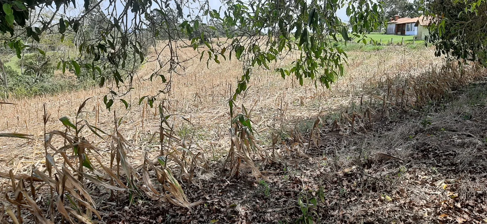 Sítio à venda de 7 ha em Sarapuí, SP, Brasil