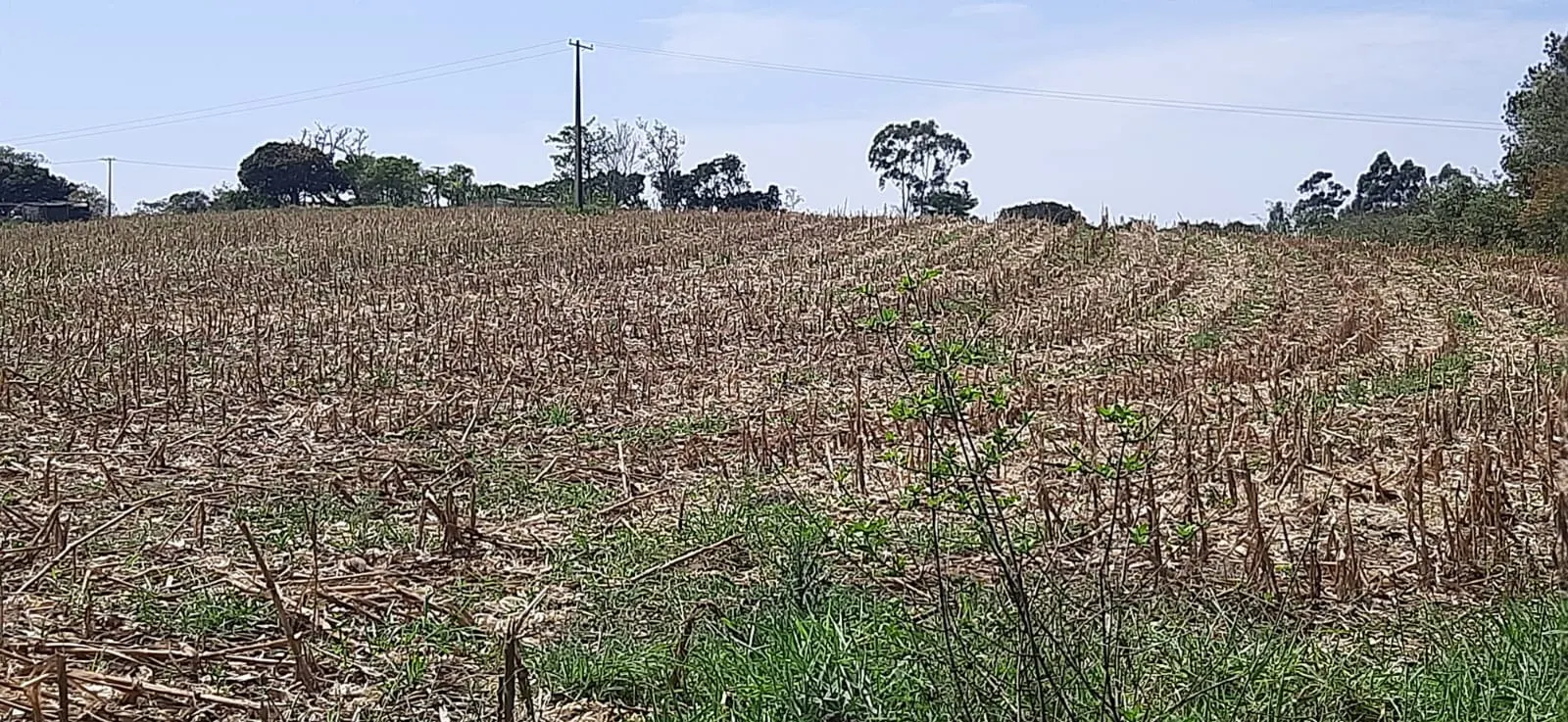 Sítio à venda de 7 ha em Sarapuí, SP, Brasil